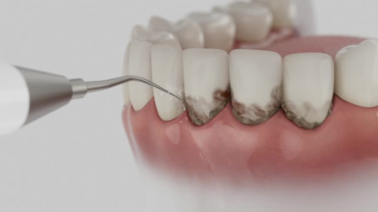 Reliable Dental contractor in Bath, MI by Dentist Open Now